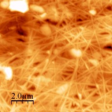 Biofilm marin sur membrane polysulfone en AFM (Maxime PONTIE / GEPEA)