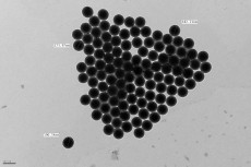 nanobilles fluorescentes commerciales en MET (Arnaud CHEVROLLIER / MITOLAB)