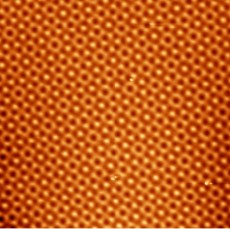 image AFM d'un réseau obtenu par irradiation 4*2 laser d'une surface azopolymère (Shahla GOLGHASEMI / MOLTECH)